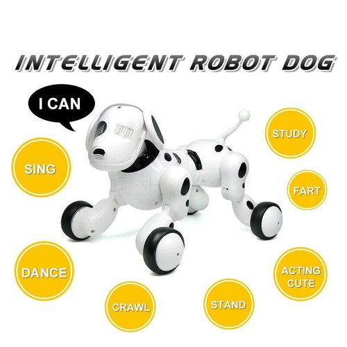 Smart dog sing - dog,