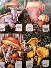 vintage paper scraps Uncut