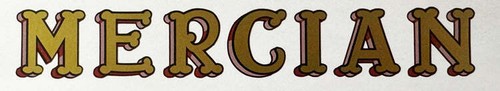 Mercian gothic downtube - gothic,