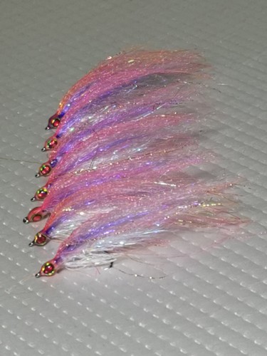 Bass salmon saltwater - bass,salmon,