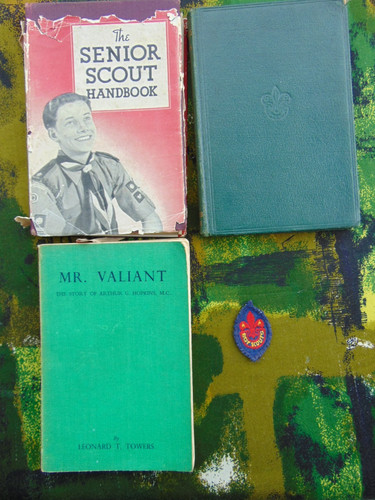 Boy scout standing camps - boy,