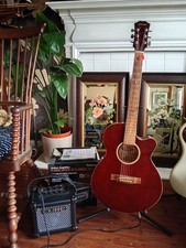 Roland Micro Cube Guitar