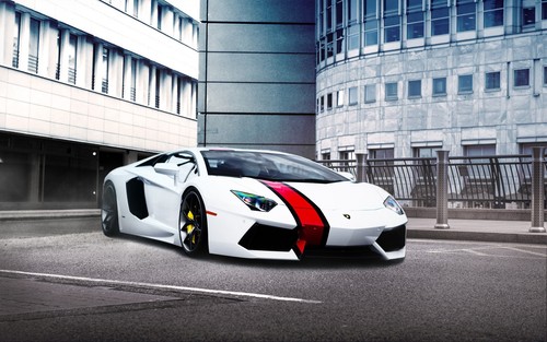 Lamborghini white cars car