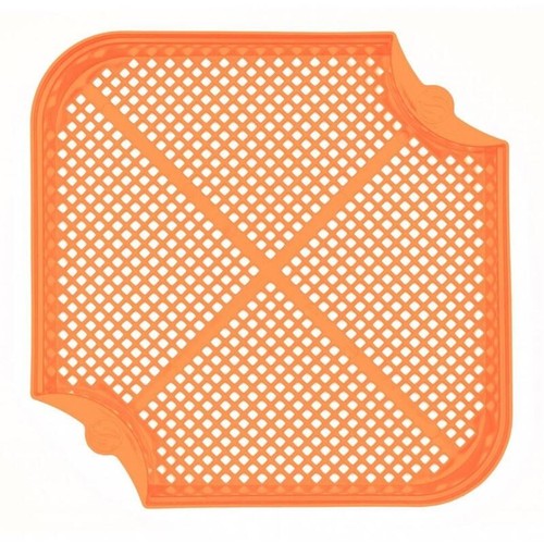 Guru maggot riddle - maggot, orange