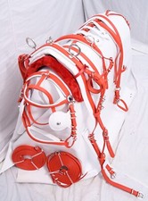 Tie Down Driving Harness Red and White Colour Padding in size Full Cob and Pony