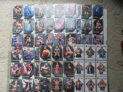Panini wwe wrestling debut - panini,