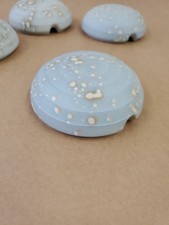 Hornsea Concept Cirrus Martin