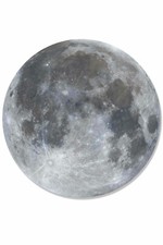 Full Moon Wall Mounted 3D