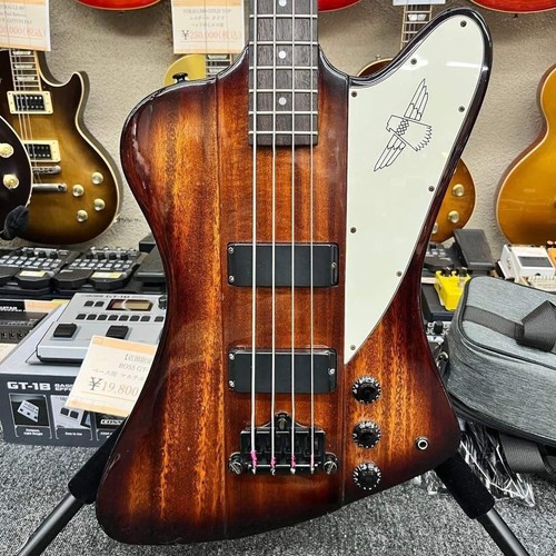 Epiphone gibson thunderbird - by,