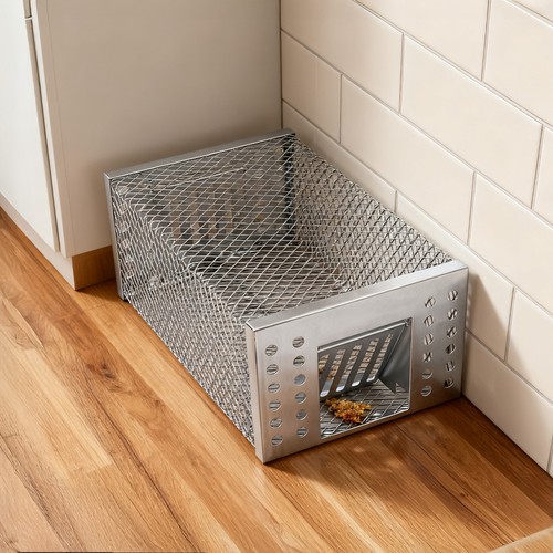 Rat trap mouse - rat, humane