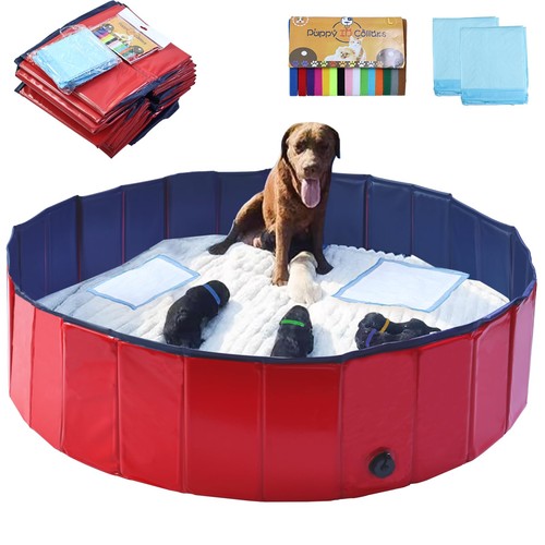 Dog whelping box - dog,