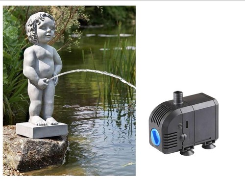 Classic belgian boy pond - classic,
