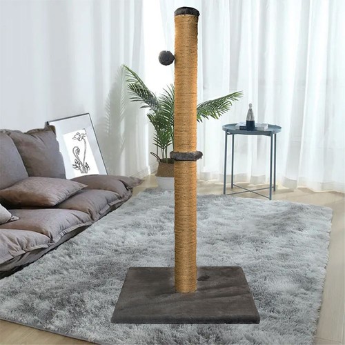74cm tall large cat - 74cm,