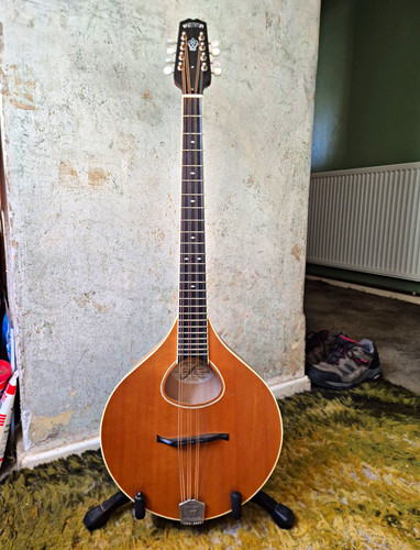 Weber sage octave mandolin - weber,