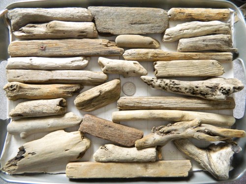 Driftwood chunky pieces for - driftwood,