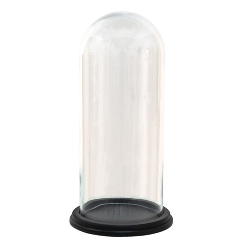 Glass display cloche bell - display,