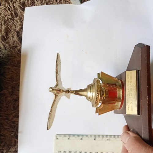 Pigeon racing trophy - pigeon,