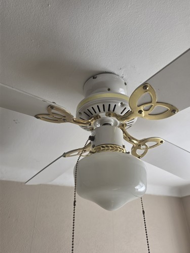 Ceiling fan light - ceiling,