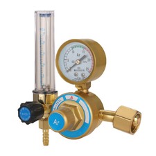 Dual Gas Pressure Regulator