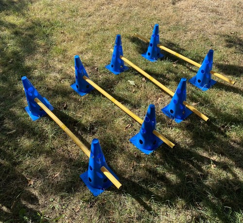 Cones bars dog - 8, agility