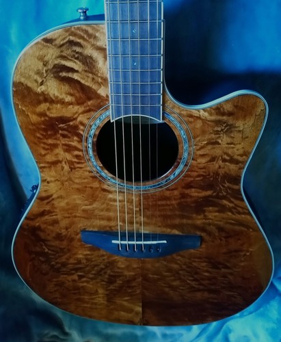 Ovation acoustic guitar - ovation,