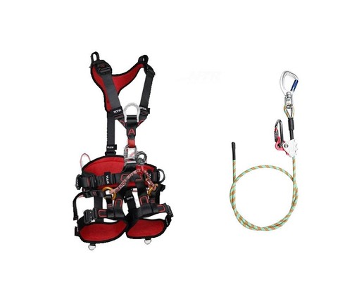 Arborist tree climbing - tree,