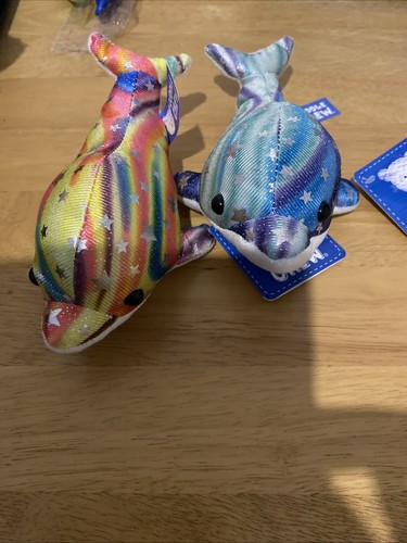 Cuddle crew dolphins both - dolphins,