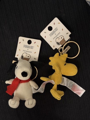 Peanuts primark bag - x,