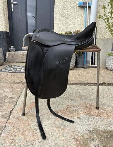 Ideal jessica pony dressage - jessica,