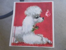 VINTAGE Fancy POODLE DOG Christmas NOTE Card 3-1/2" X 4"  NO Envelope  FREE SHIP