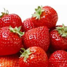 50 UK Large Strawberry Seeds Pack High Yield Sweet Fruit Flowering Plant