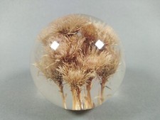 Haford Grange Vintage 1998