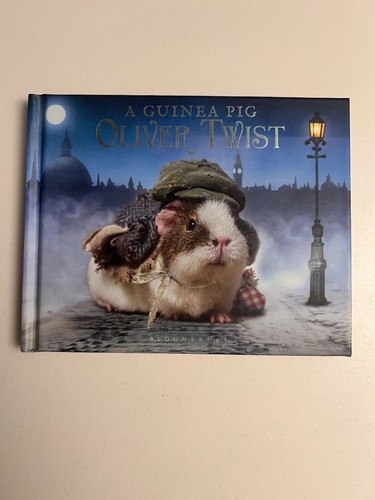 Guinea pig oliver - guinea,