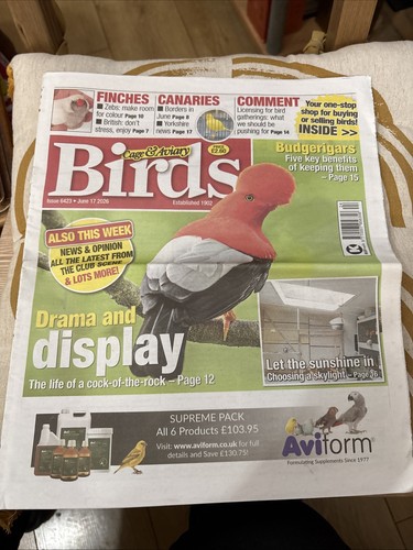 Cage and aviary birds june - and, 17