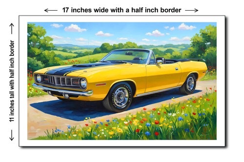 1970 plymouth road runner - plymouth,
