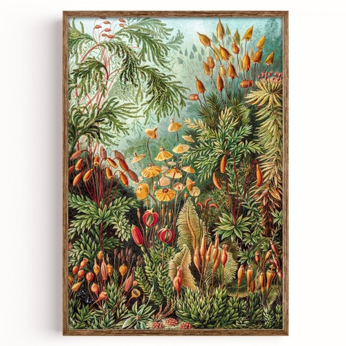 Vintage botanical illustration - vintage,