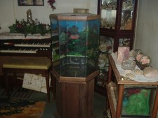 30 Gallon Hexagon Aquarium w/