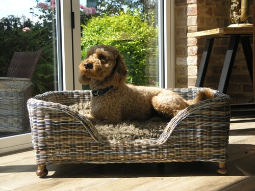 Large charles wicker dog bed - large,