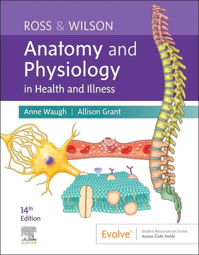 Ross wilson anatomy - ross, &