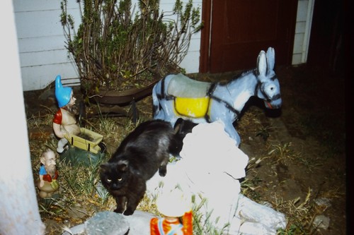 1970s black cat garden gnomes - 1970s,