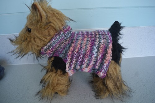 Hand knitted dog coat - dog, /