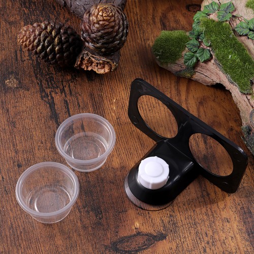 Gecko food holder - gecko,