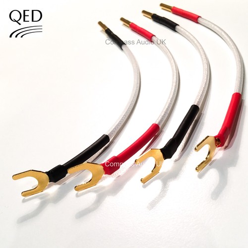 Qed silver anniversary - qed,