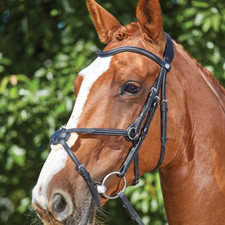 Collegiate ComfiTec Grackle