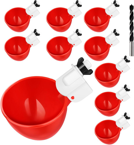 Automatic chicken waterer - chicken,