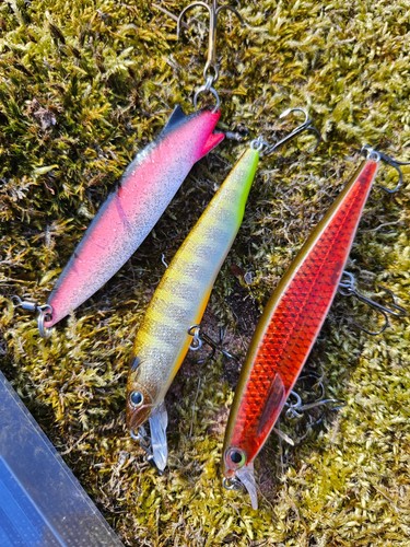 Rapala payo abu 3x - payo., lures
