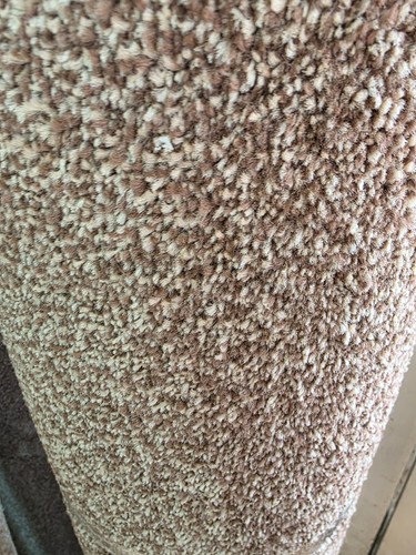 Cheap great quality carpet san - cheap,