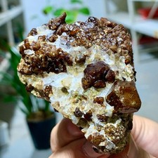 236G Natural Garnet with Rock Gorgeous rough raw Crystal Mineral Specimen