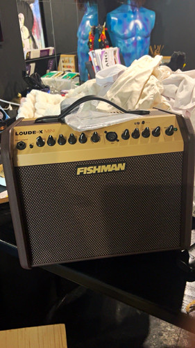Fishman loudbox mini - fishman, combo