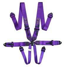 Purple 6-Point Race Harness
